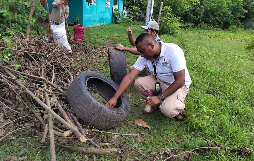  La eliminación de criaderos de mosquitos es importante para prevenir la enfermedad. Foto: Cortesía Minsa