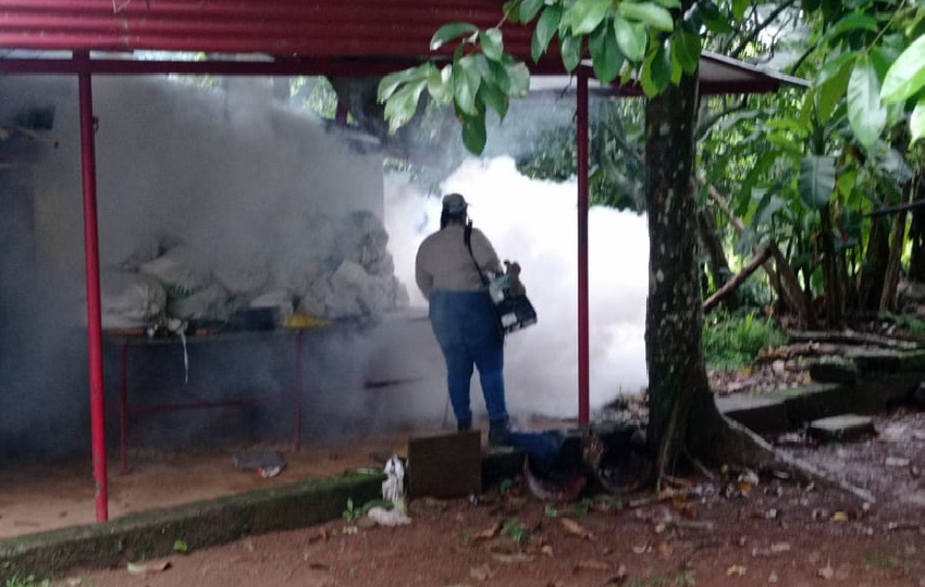 A la fecha en la provincia de Chiriquí se registran un total de 1,206 casos de dengue. Foto. Cortesía Minsa