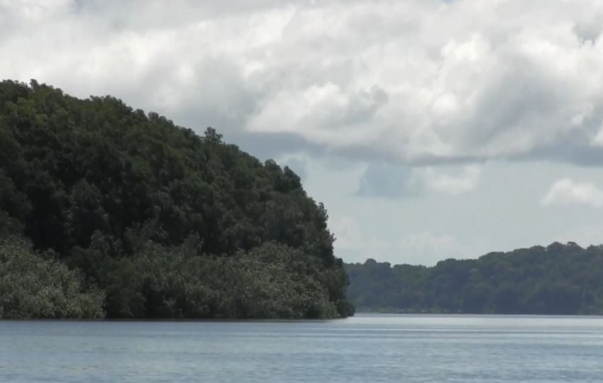 Puerto Barú asegura que las tierras están fuera de las áreas protegidas de manglar de David. 