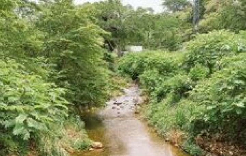  Víctor Saldaña de 65 años, desaparecido desde el viernes en el río Rincón en Dolega, provincia de Chiriquí. Foto. Sinaproc