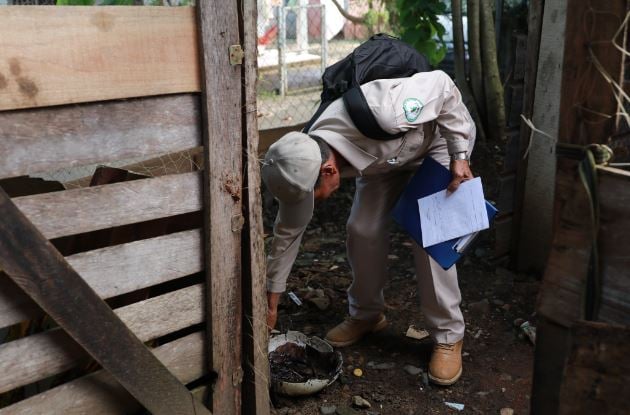 La principal área afectada por la enfermedad es la comunidad de Higuera, ubicada en Chepo. Foto: Cortesía