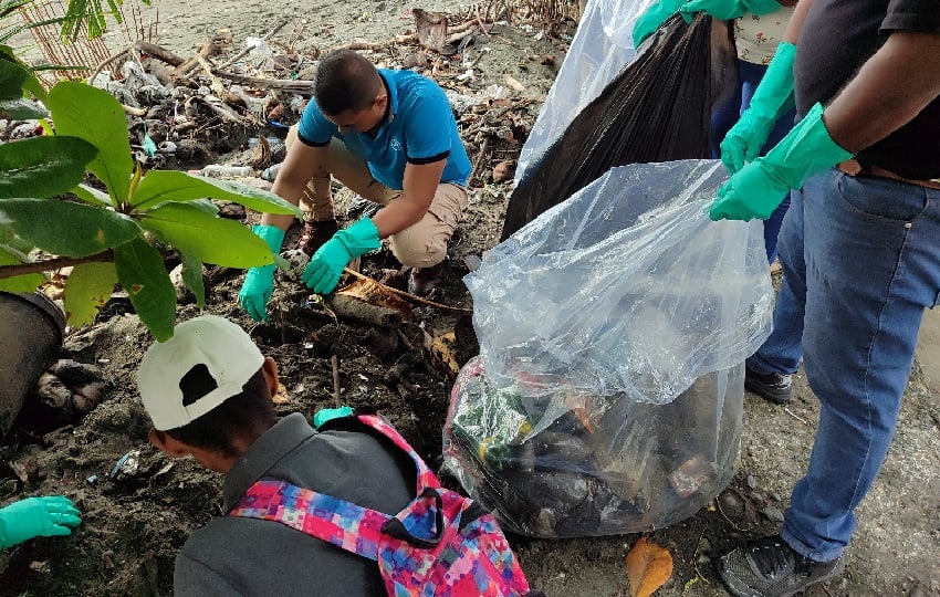 Esta limpieza de playa en Barú, se desarrolló aprovechando la conmemoración del Mes de los Océanos y el Día Internacional de la Conciencia Ambiental. Foto. Cortesía. MiAmbiente