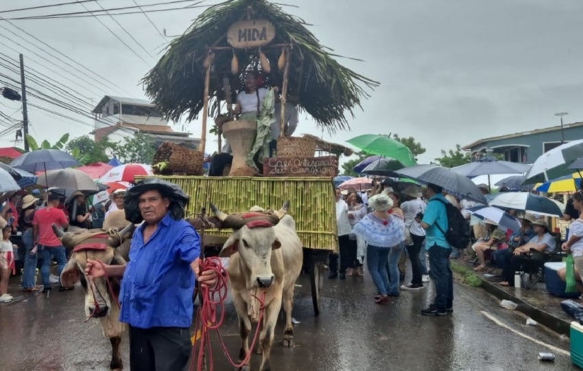 A pesar de la fuerte lluvia, las empolleradas y las delegaciones realizaron el tan esperado desfile . Foto, Thays Domínguez