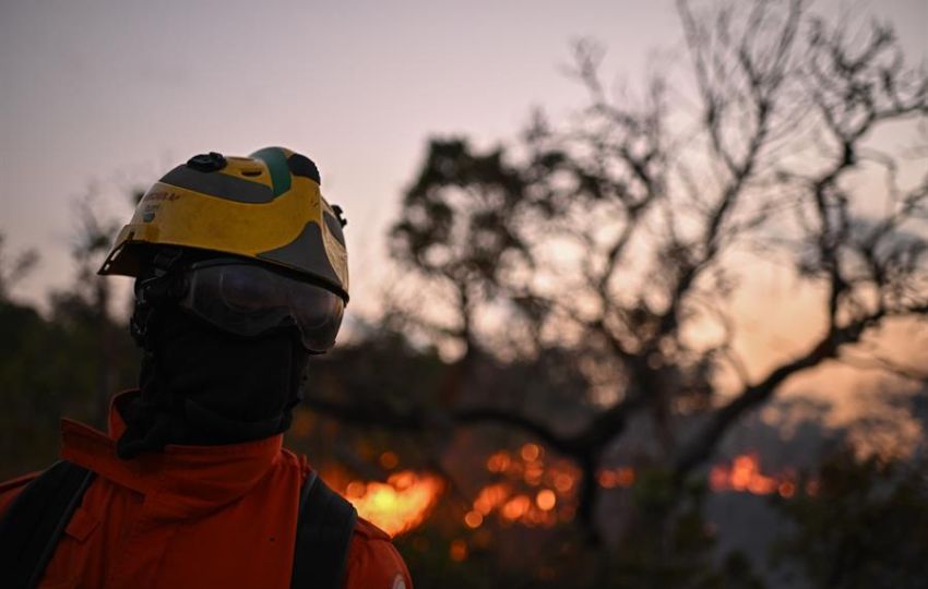 Un bombero trabaja para extinguir un incendio forestal en la Reserva Ecológica Contagem,en Brasilia. Foto: EFE