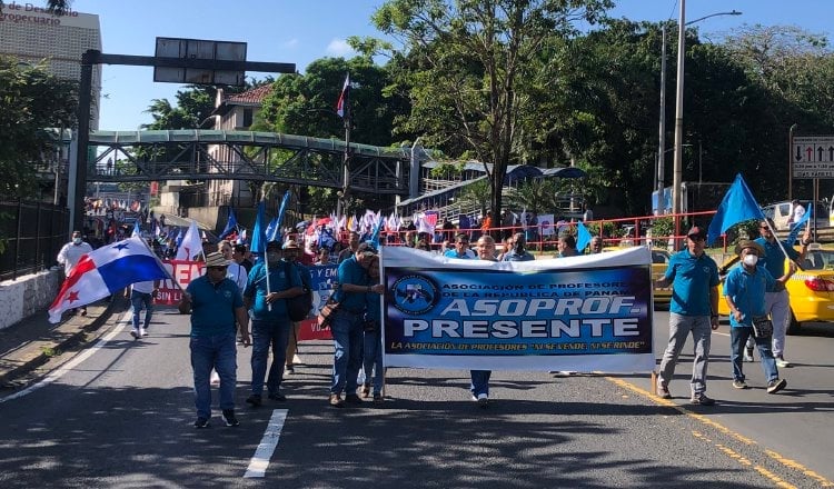 Los docentes caminarán hasta las Presidencia de la República. Foto: Archivo