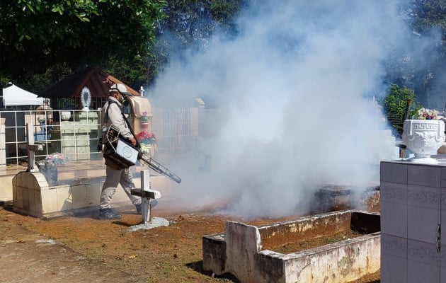 Los 3 corregimientos de David mantienen una elevada infestación del mosquito Aedes aegypti. Foto: Archivo/  Ilustrativa. 