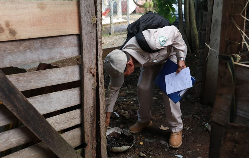 Las autoridades reiteran la importancia de eliminar los criaderos de mosquitos. Foto: Cortesía