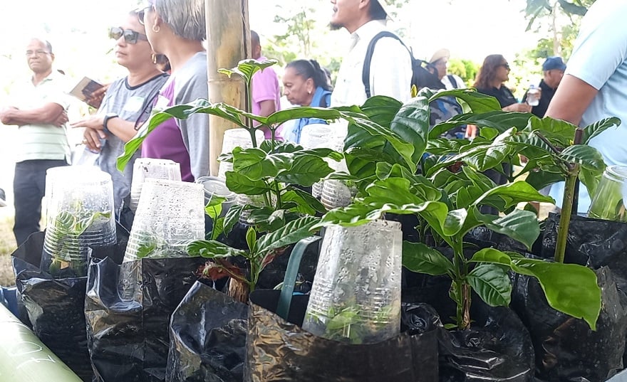 El proyecto fue puesto en marcha por el MIDA, en la provincia de Panamá Oeste.Foto: Eric A. Montenegro.