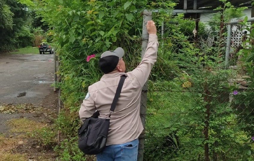 Actualmente, en la provincia de Chiriquí se contabilizan 1,367 casos de dengue, distribuidos entres las comunidades como: Villa Escondida, Las Lomas, Villa Esmeralda, Victoriano Lorenzo y Manuel Quintero Villarreal. Foto. Cortesía Minsa