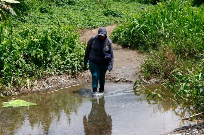 Miles de migrantes atraviesan la selva del Darién en busca del sueño americano. Foto: EFE