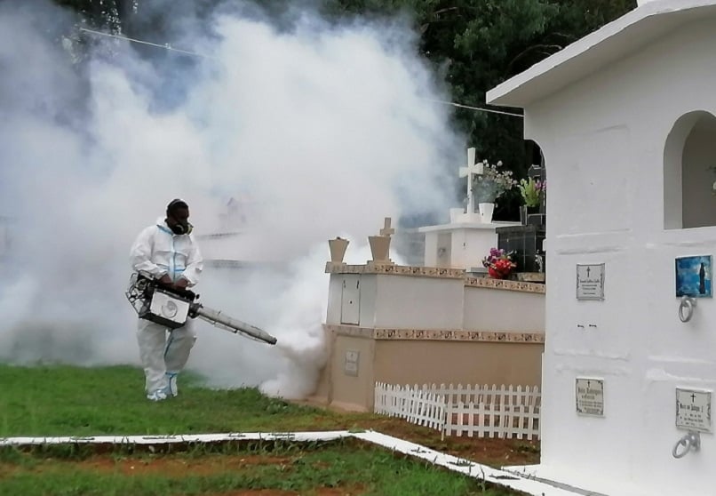 Hay  fumigaciones masivas en los cementerios de Chiriquí, ante el incremento de los criaderos de mosquitos Aedes aegypti. Foto: Archivo/Ilustrativa. 