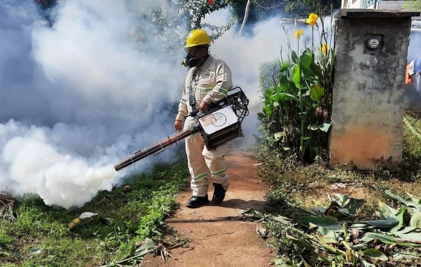 Mientras que para la semana epidemiológica N°41 se actualizan 2 muertes por dengue. 