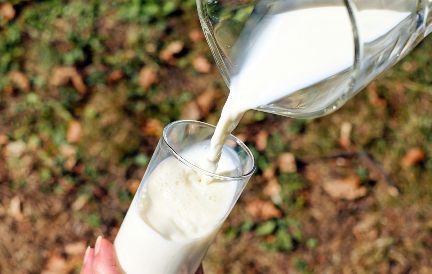 Vaso de leche. Foto: Ilustrativa/Pixabay