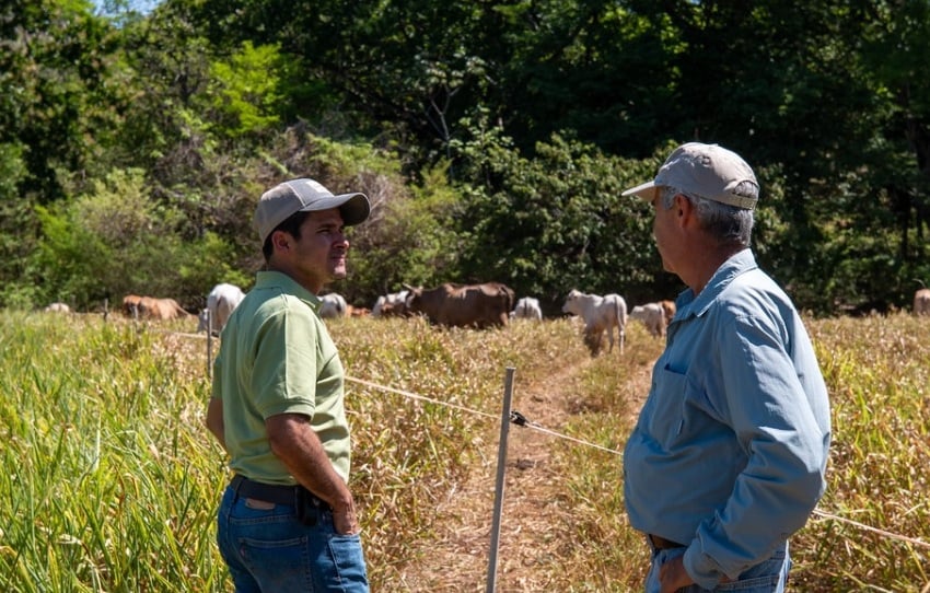 Mejorar la productividad sin comprometer el medio ambiente. Foto: Cortesía/FAO