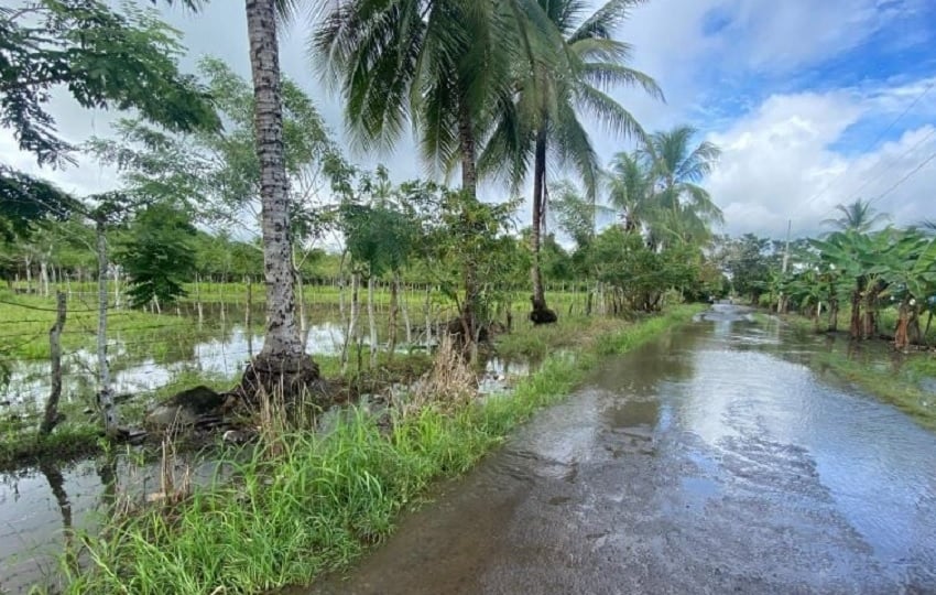 Las lluvias han afectado las zonas productivas del país. Foto: Cortesía