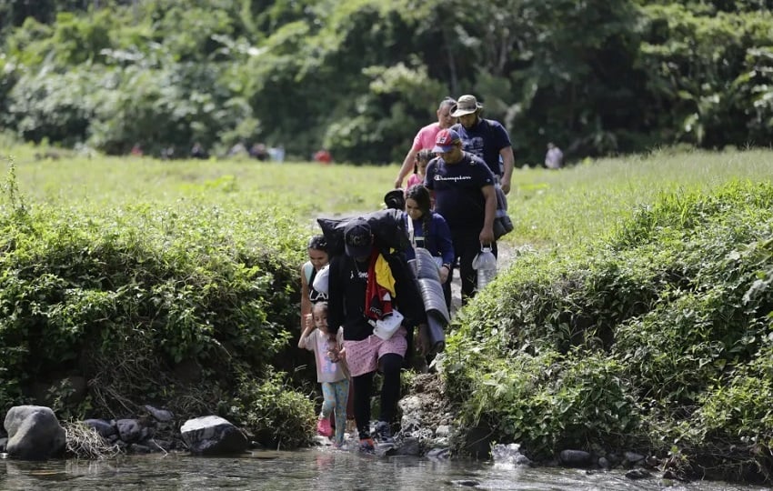 Los migrantes enfrentan serios peligros al cruzar la selva del Darién. Foto: CSS