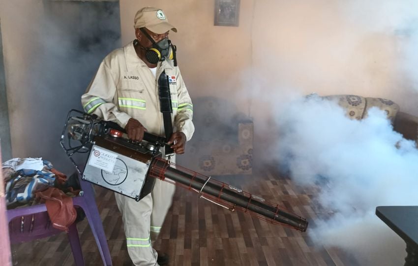 Las nebulizaciones solo eliminan al mosquito adulto. Foto: Cortesía