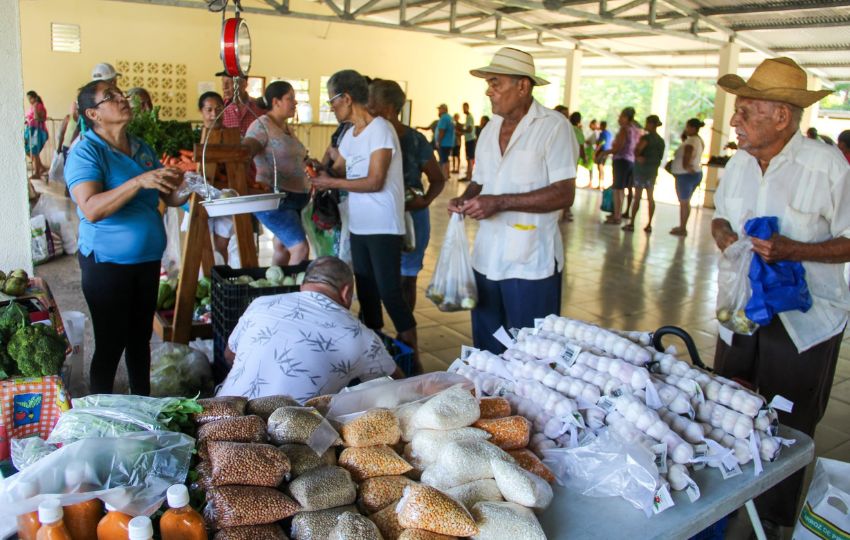 En las agroferias se venden productos a precios accesibles. Foto: Cortesía