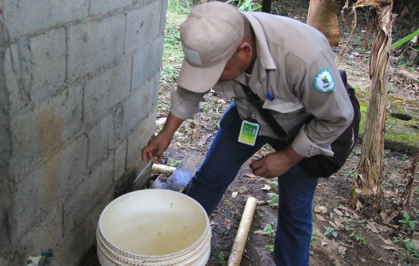 Minsa recomienda eliminar los criaderos de mosquitos. Foto: Cortesía