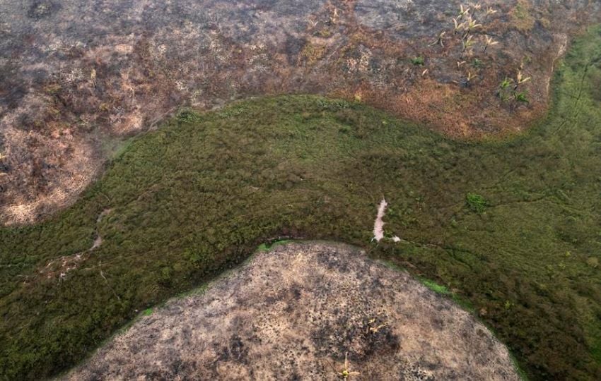 Zona quemada en Porto Velho (Brasil). Foto: EFE