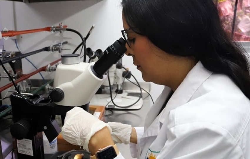 En el trabajo en laboratorio se aborda la detección de toda clase de patógenos y residuos.