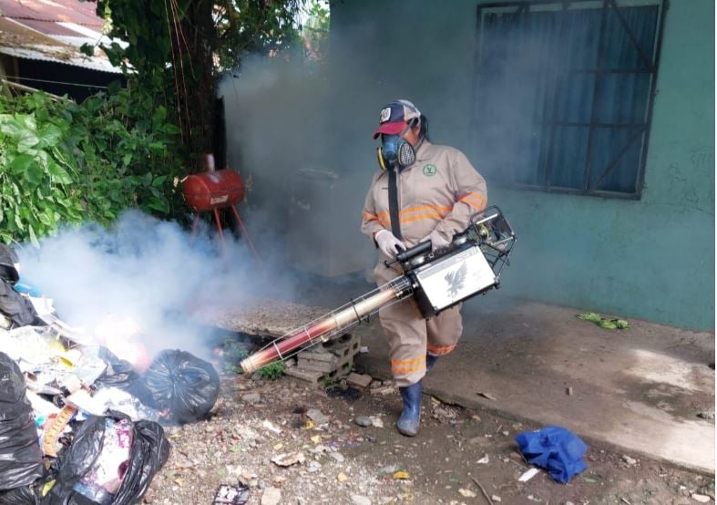 Minsa recomienda eliminar criaderos de mosquitos. Foto: Cortesía