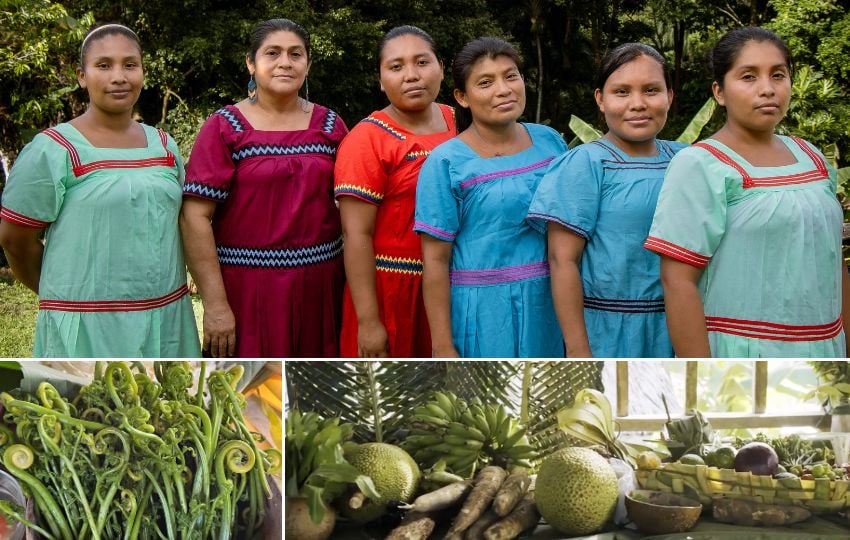 El proyecto se desarrolla con 15 mujeres indígenas de la comunidad de Río Caña. Foto: Cortesía