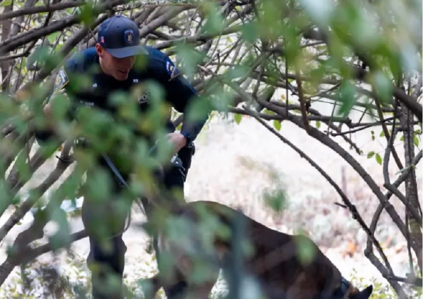 Miembros del equipo de buceo del departamento de Policía de Nueva York buscan al sospechoso en un lago en Central Park, horas antes de su detención. Foto:  EFE/EPA/Justin Lane 