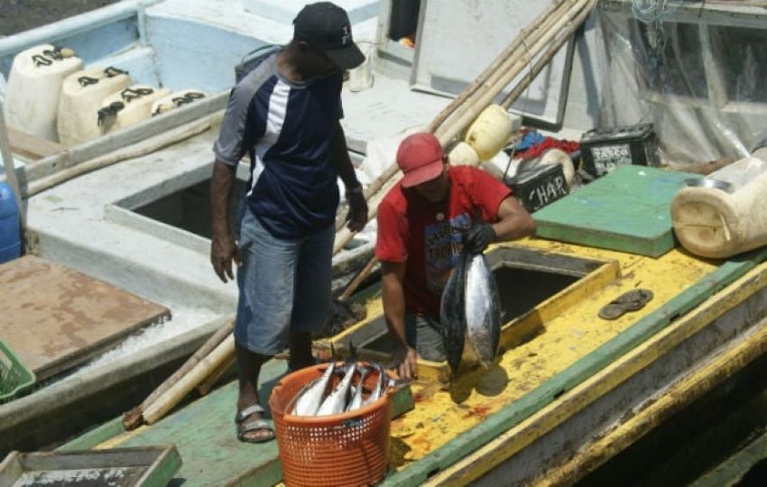 Esto causa que los pescadores  paguen altos costos por combustibles.