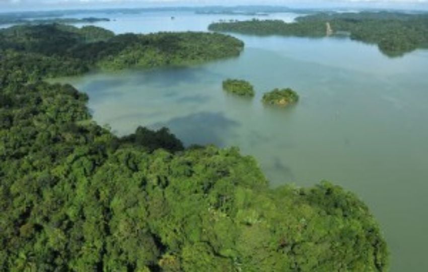 Cuenca Hidrográfica del Canal de Panamá. Foto: Cortesía