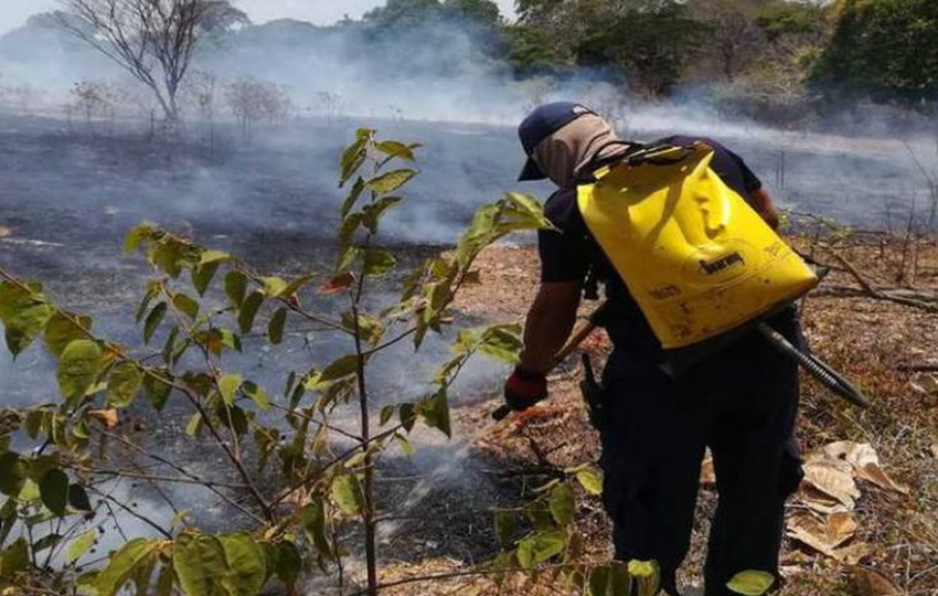 La cifra de incendios de masa vegetal aumenta los fines de semana y días festivos cuando las personas se encuentran en sus hogares. Foto: Cortesía.