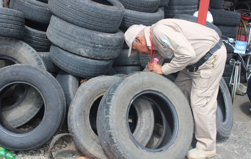 Operativos para reducir los casos de dengue. Foto: Cortesía