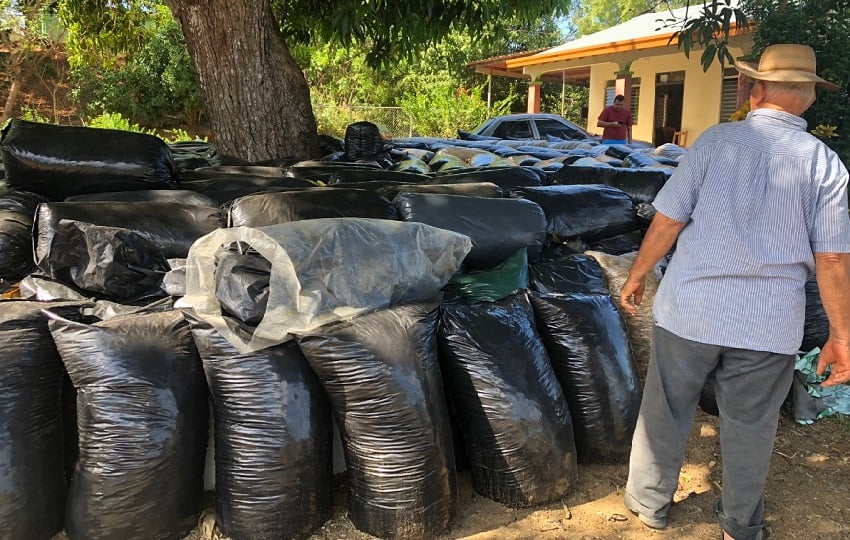 Los ganaderos temen que la disminución de forraje y alimentos para el ganado se traduzca en una menor productividad, lo que pone en aprietos a una de las actividades económicas más importantes de la región de Azuero. Foto. Thays Dompinguez