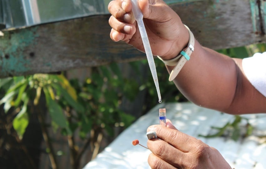 En Chiriquí hay cerca de mil 673 casos de dengue, la mayor cantidad en los distritos de David, Bugaba y Barú. Foto. Archivo