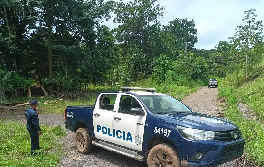 El trágico incidente ocurrió cuando podaba unos árboles en el sector playa Reina. Foto: Diómedes Sánchez 