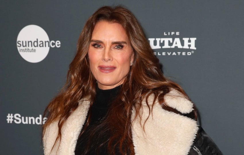 Brooke Shields. Foto: EFE / George Frey