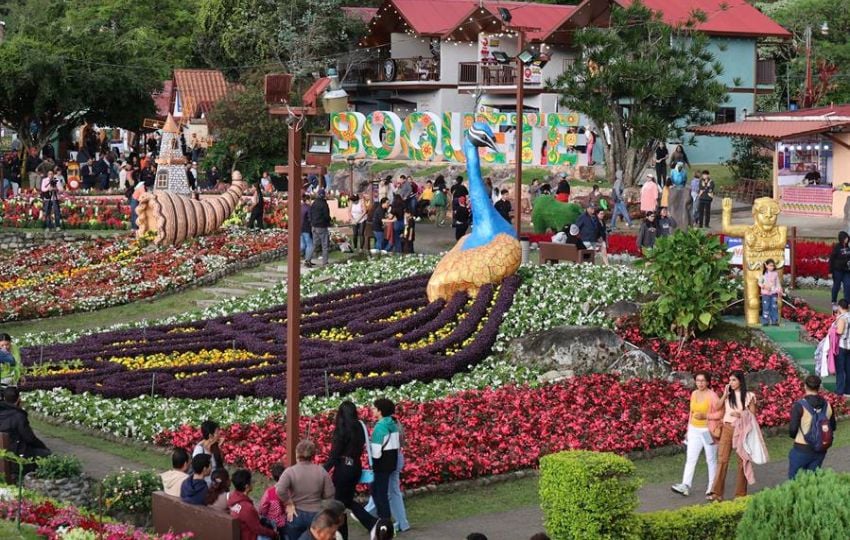 Feria de las Flores y el Café en Boquete, Chiriquí (Panamá). Foto: EFE