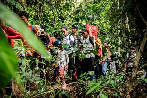 La selva de Darién se ha convertido en uno de los pasos de migrantes más peligrosos del mundo.