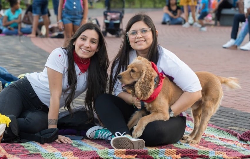 Cine Picnic es pet-friendly. Foto: Cortesía