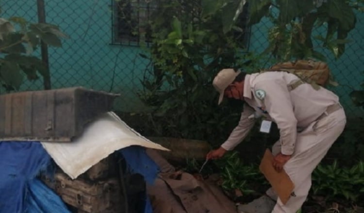 Las estadísticas de la entidad de salud destacan que hasta la fecha, se han registrado 24 casos de dengue en la provincia de Panamá Oeste. Foto. Ilustrativa