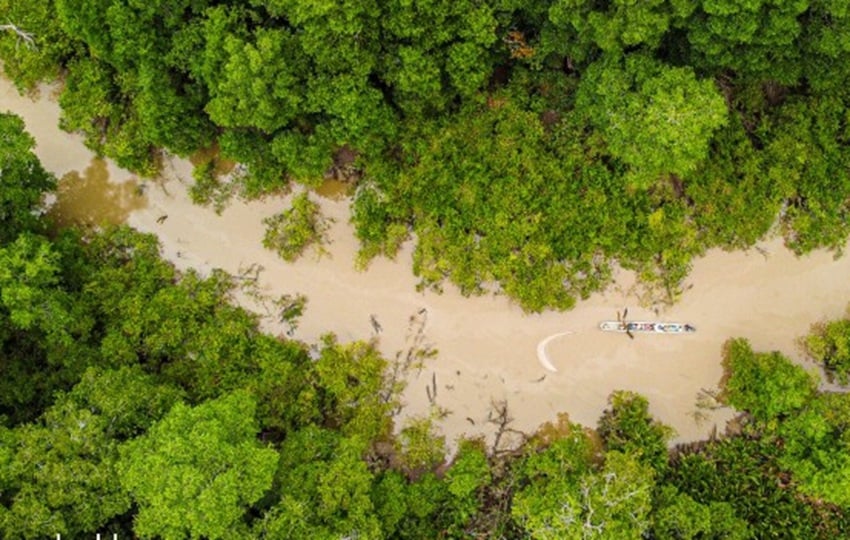 Matusagaratí es el humedal más grande que tiene Panamá. Foto: SAMUEL VALDÉS