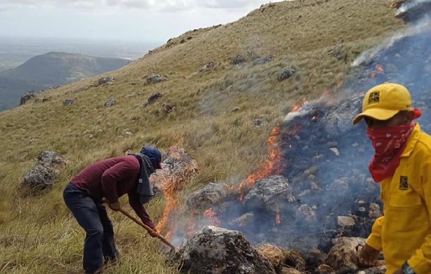 Se informó que este Incendio de Masa Vegetal acabó con más de 1,050 hectáreas de la Reserva Hídirca de Cerro Guacamaya. Foto. Cortesía.