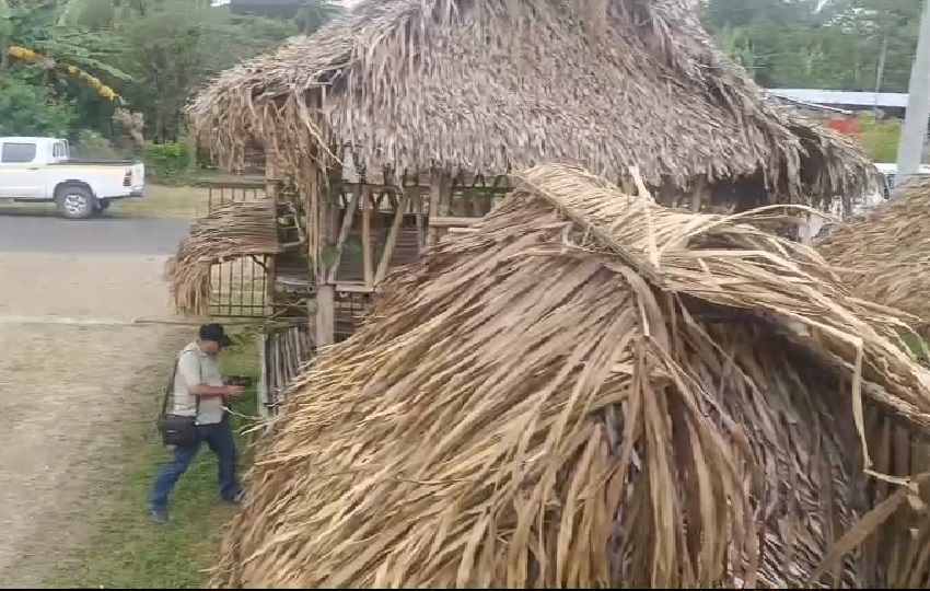 La construcción de los ranchos, confeccionados por los propios productores, supera el 90% de avance.