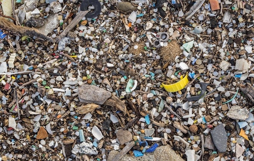 Estos hallazgos ponen de relieve una consecuencia del incremento de las concentraciones globales de plásticos ambientales. Foto: EFE