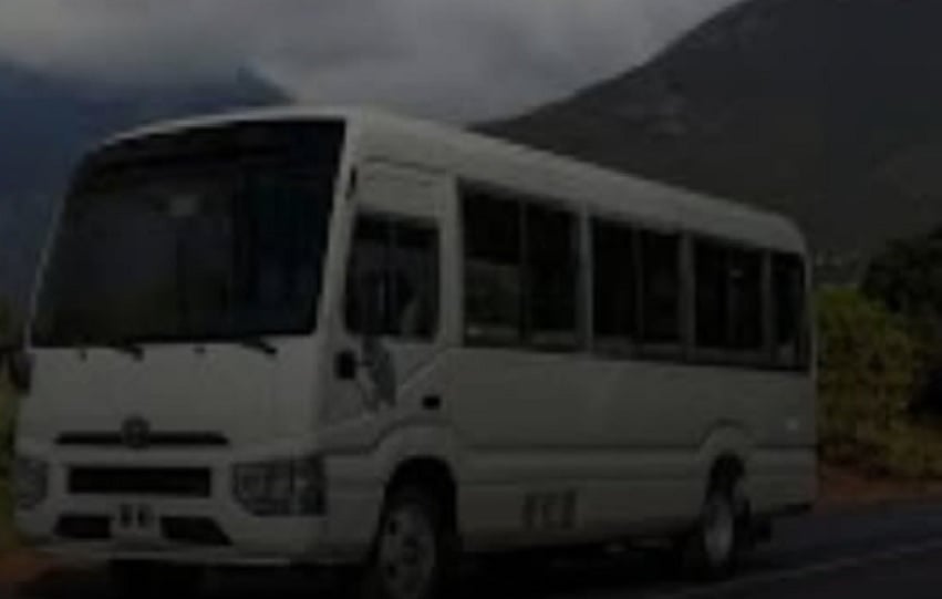 Se informó que en el bus eran transportados un total de 17 migrantes irregulares. Foto. ilustrativa