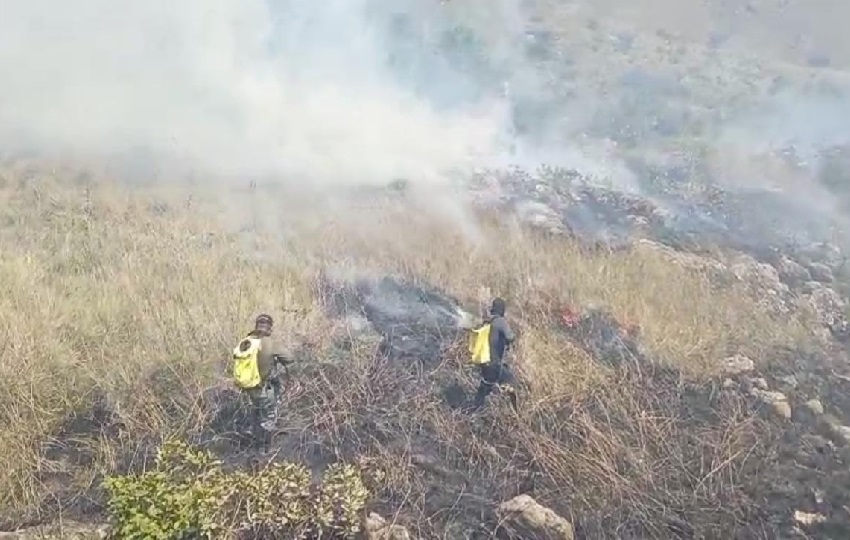 En la provincia de Coclé, esta entidad gubernamental mantiene en pie la recompensa de $3,000.00 para quien brinde información sobre los responsables de este crimen contra el ambiente. Foto. Cortesía