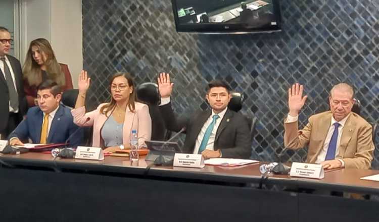 Diputados de la Comisión de Economía al momento de aprobar en primer debate el proyecto 186. Foto: Francisco Paz