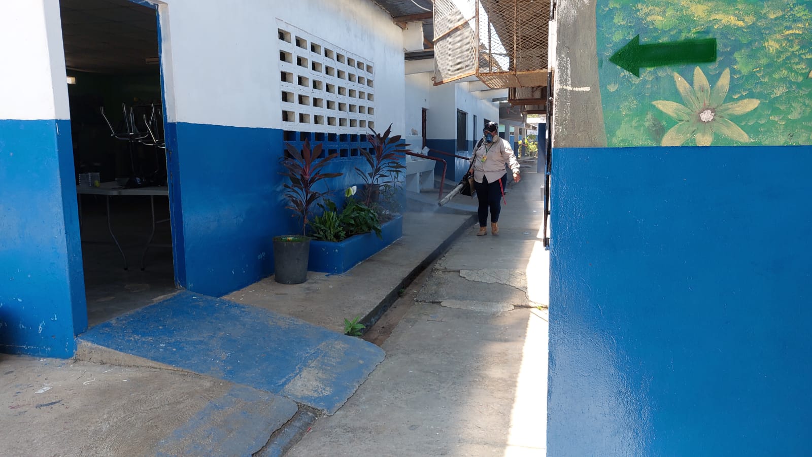 Cabe destacar que en la provincia de Chiriquí se han reportado 100 casos de dengue. Foto. Archivo