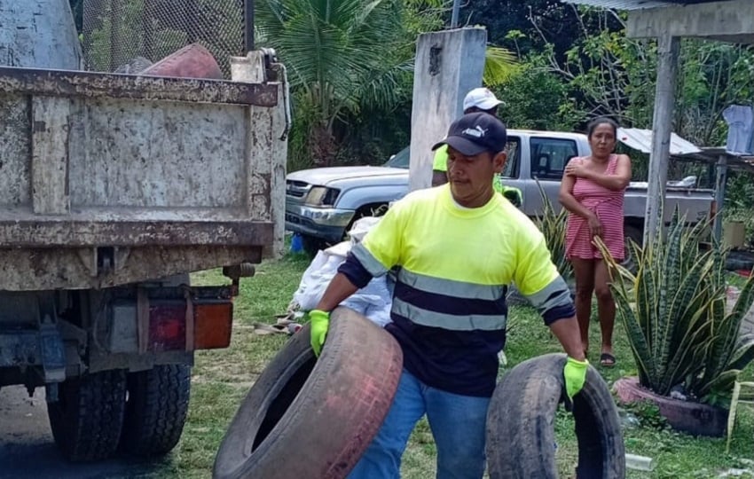 Hasta la semana epidemiológica N°6, se registra un total de 2,158 casos acumulados de dengue a nivel nacional. Foto: Cortesía