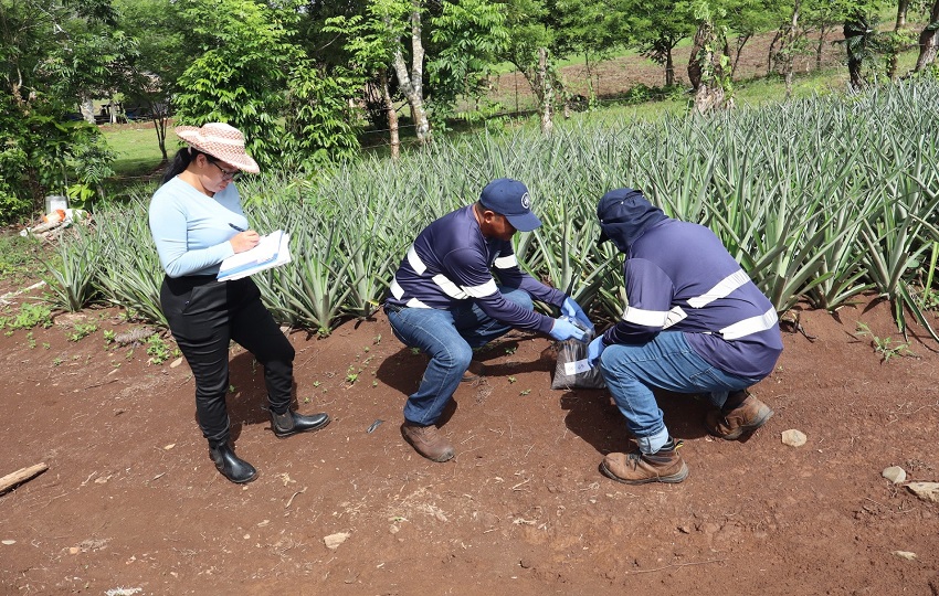 Equipo de investigación en el trabajo de campo. Foto: Cortesía/  UTP